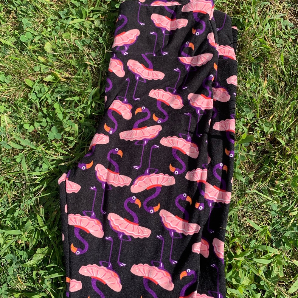 20 pairs of LuLaRoe OS Leggings